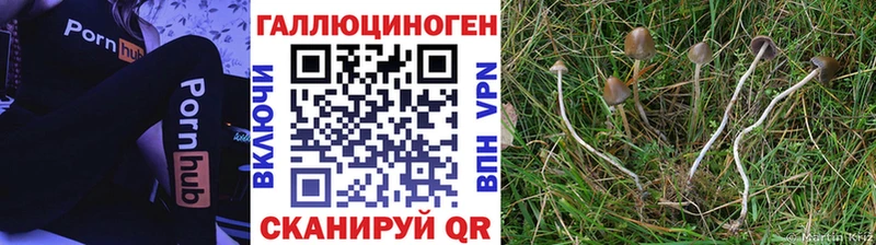 купить наркоту  blacksprut ТОР  Галлюциногенные грибы Psilocybe  Верхняя Салда 